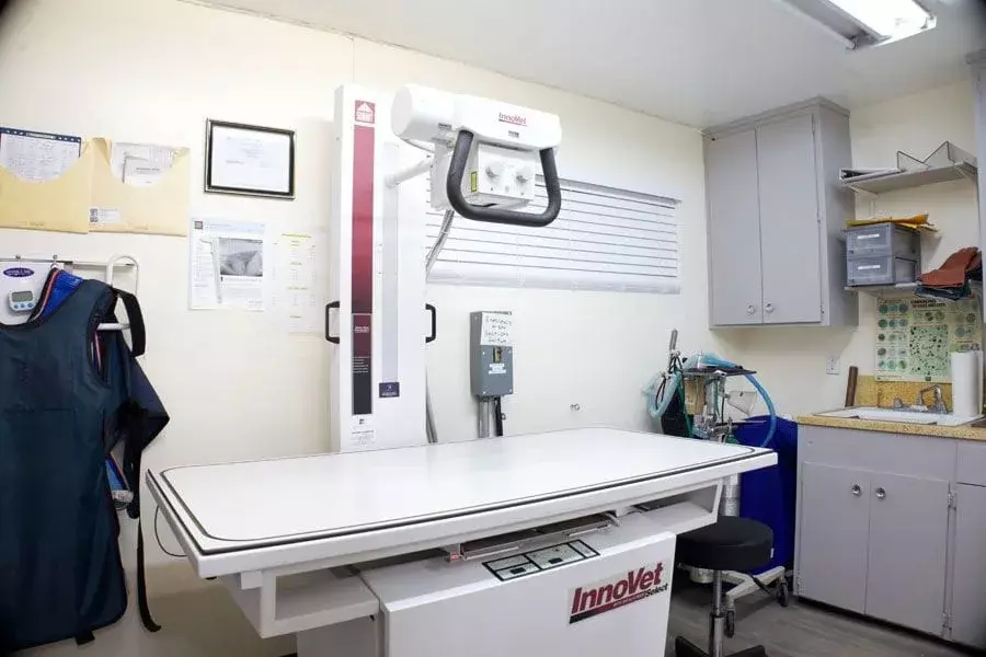 Veterinarian in Stockton, CA | Fremont Animal Clinic