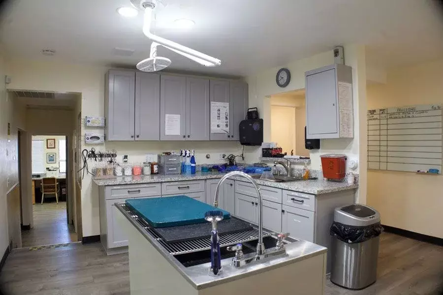 Veterinarian in Stockton, CA | Fremont Animal Clinic