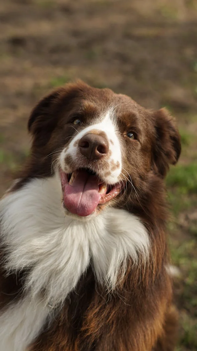 In-house Pharmacy in Stockton, CA