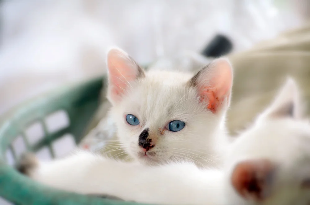 Dermatology in Stockton, CA