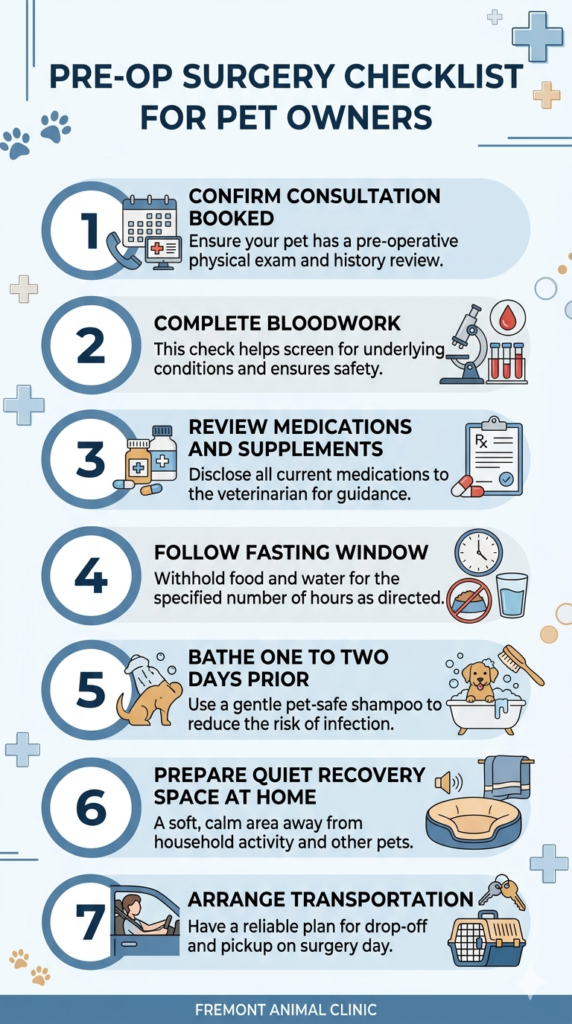 Preparing for Pet Surgery in Stockton CA: A Complete Pre-Op to Post-Op Guide 1 Preparing for Pet Surgery in Stockton CA: A Complete Pre-Op to Post-Op Guide