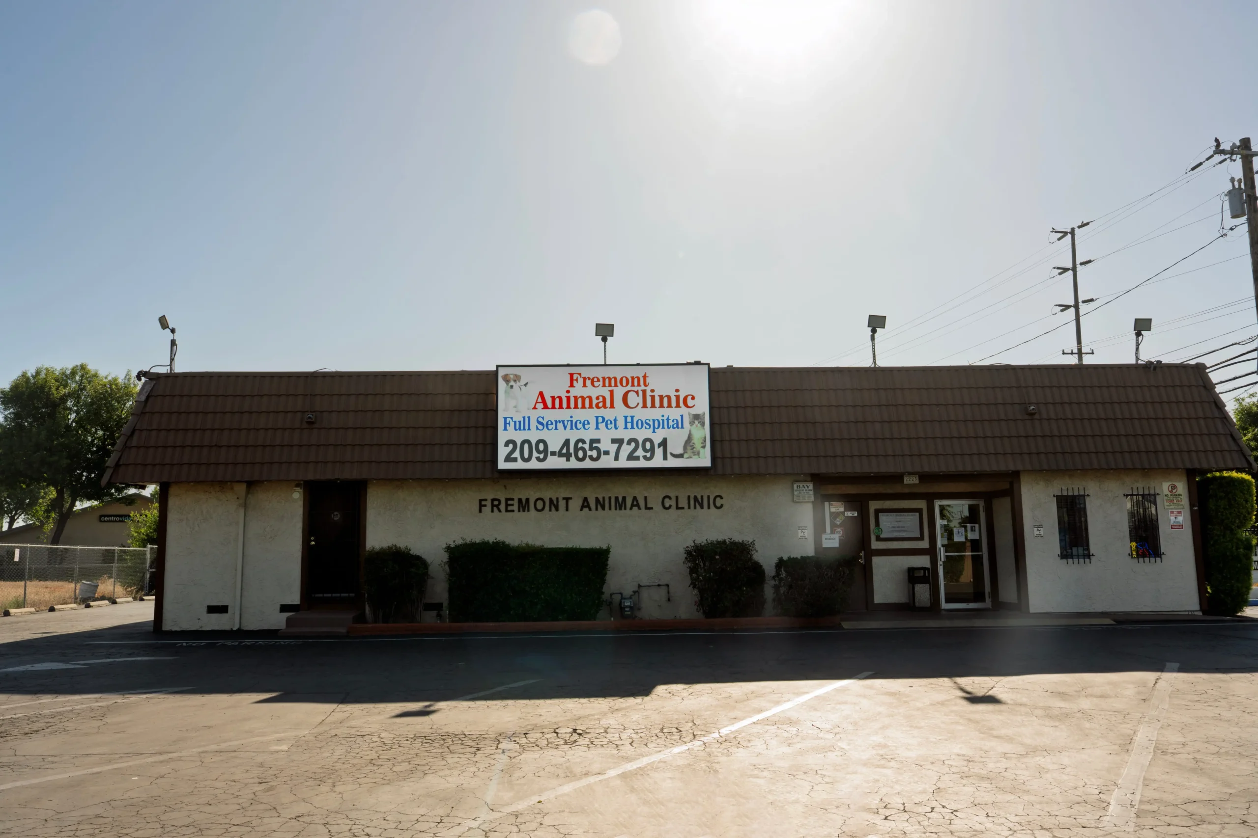 Veterinarian in Stockton, CA | Fremont Animal Clinic
