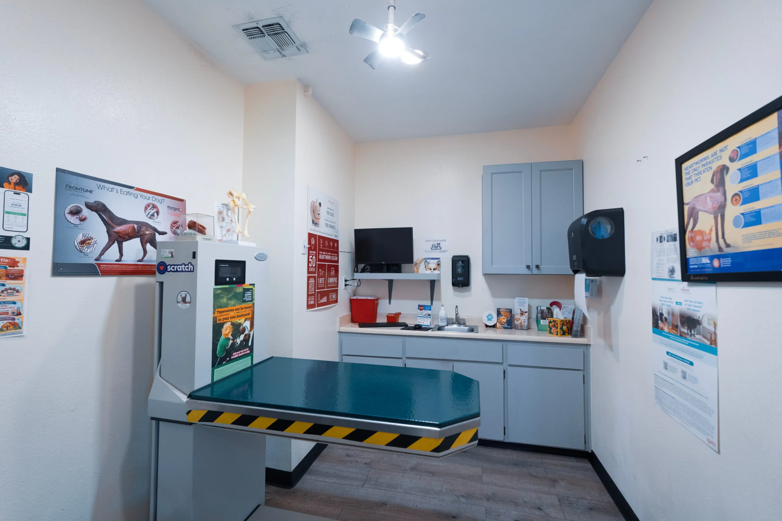 Veterinarian in Stockton, CA | Fremont Animal Clinic
