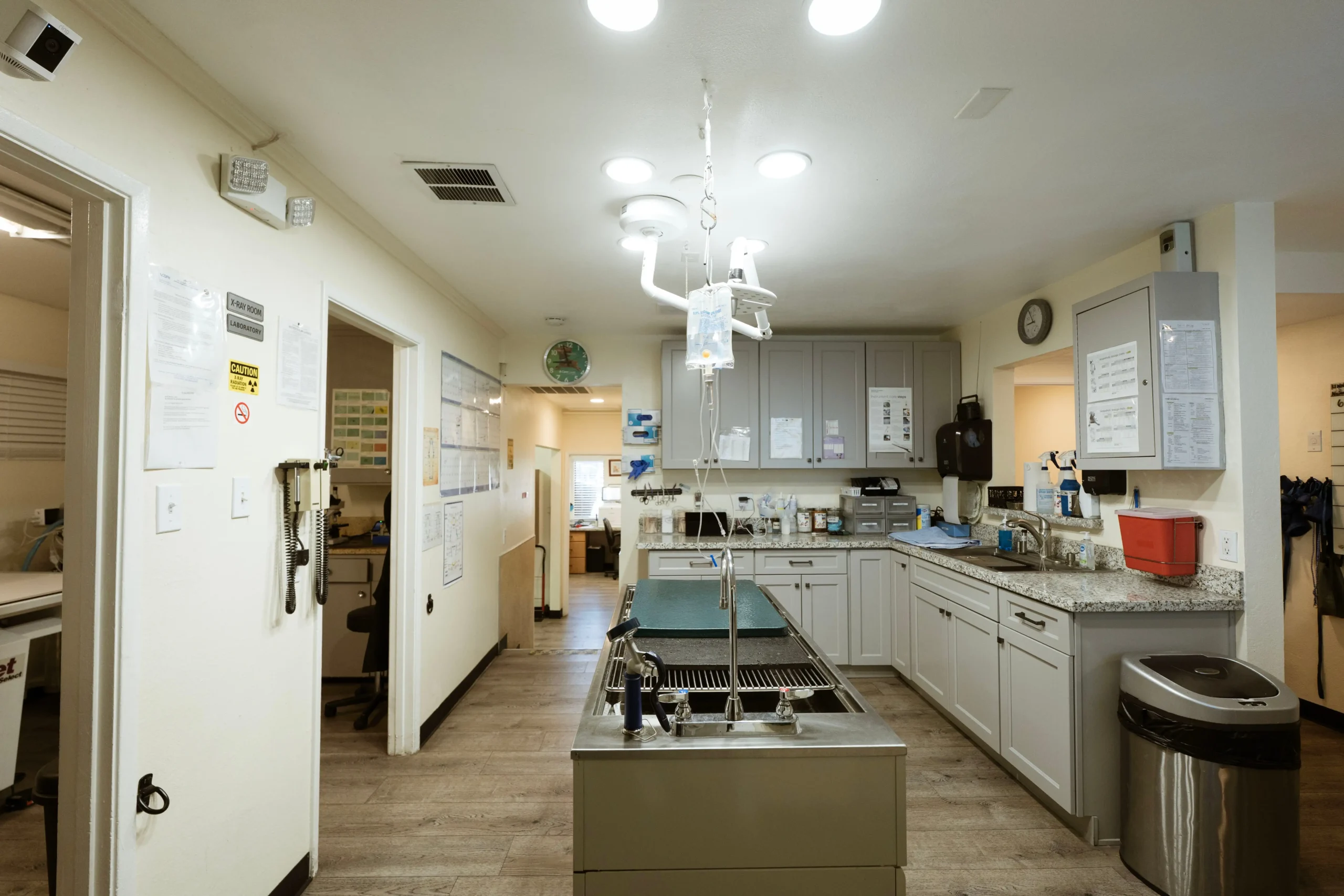 Veterinarian in Stockton, CA | Fremont Animal Clinic