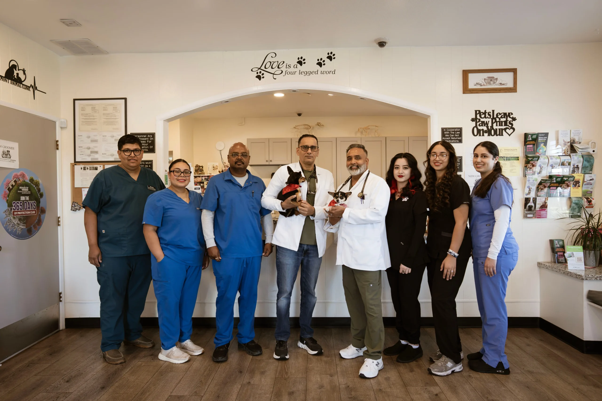 Veterinarian in Stockton, CA | Fremont Animal Clinic