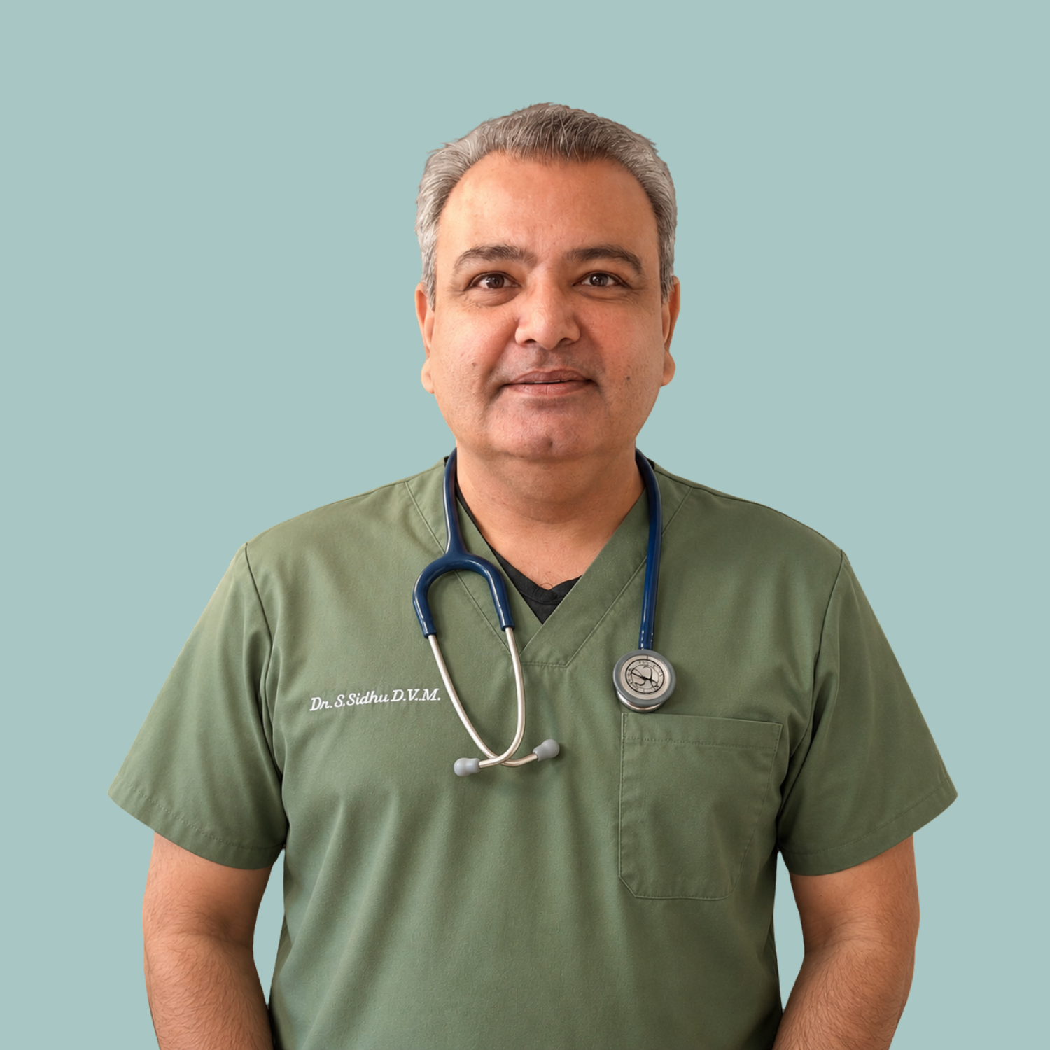 Meet the Doctor