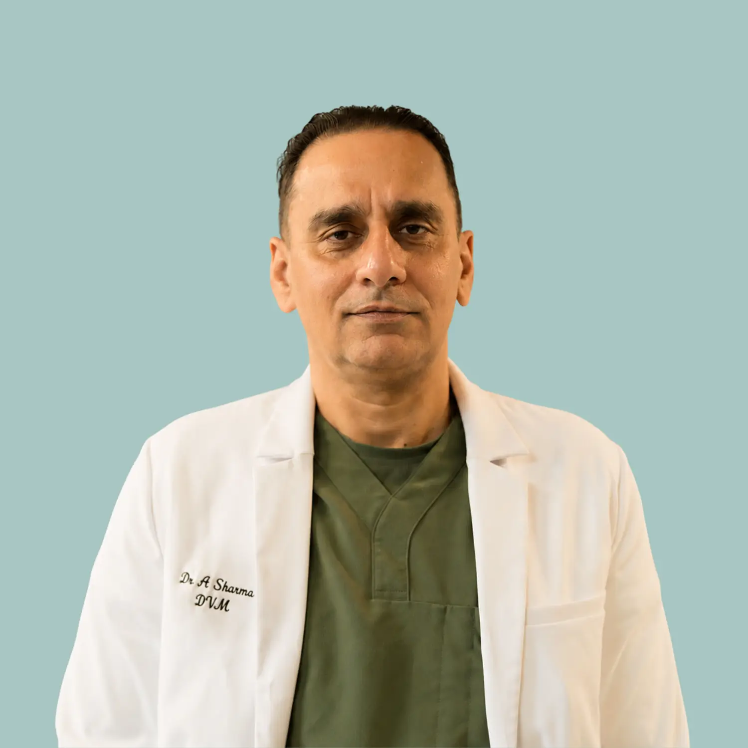 Meet the Doctor