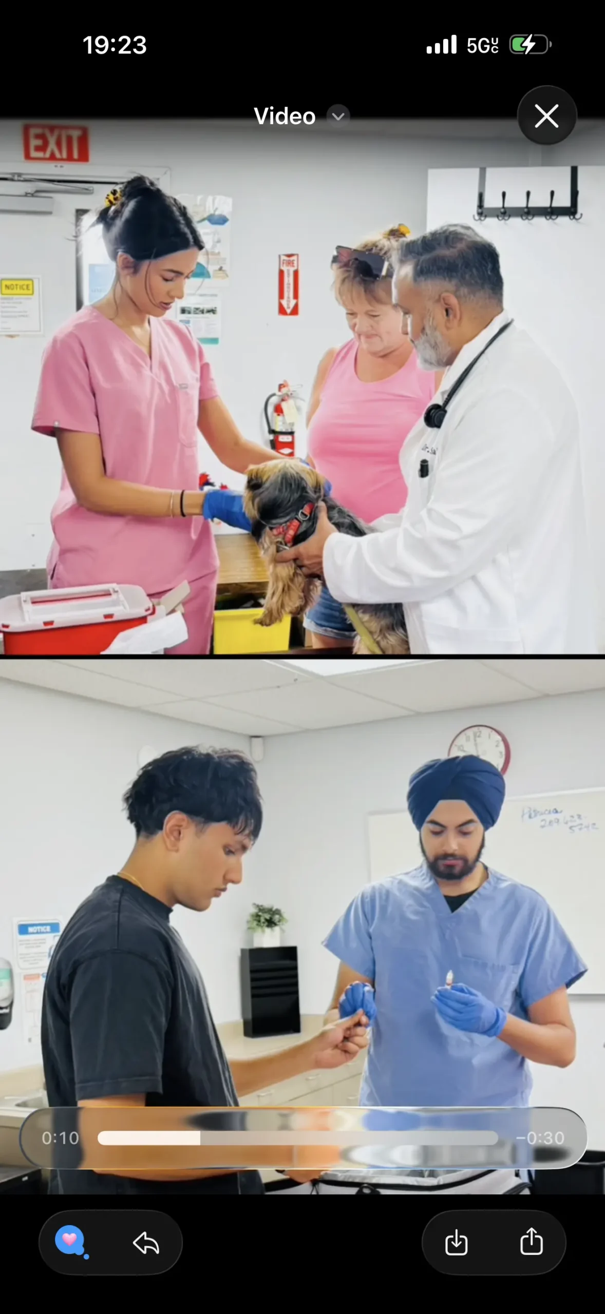 A Community Pet Vaccine Clinic in Stockton: Inside Our Day at Saint Mary's