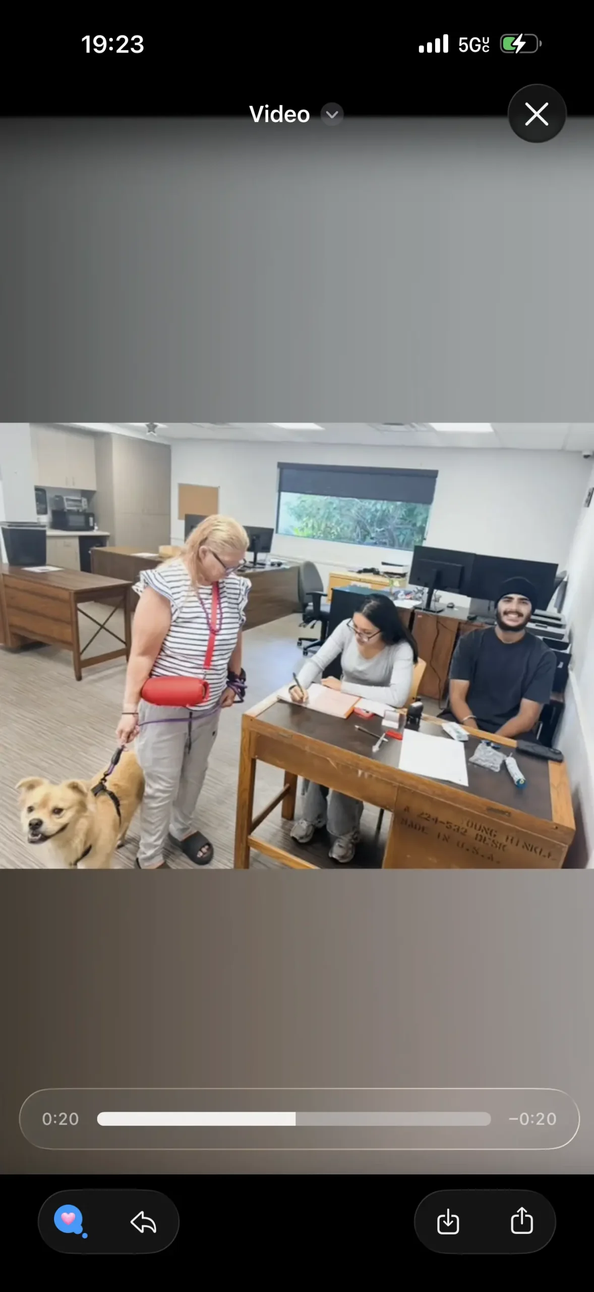 A Community Pet Vaccine Clinic in Stockton: Inside Our Day at Saint Mary's