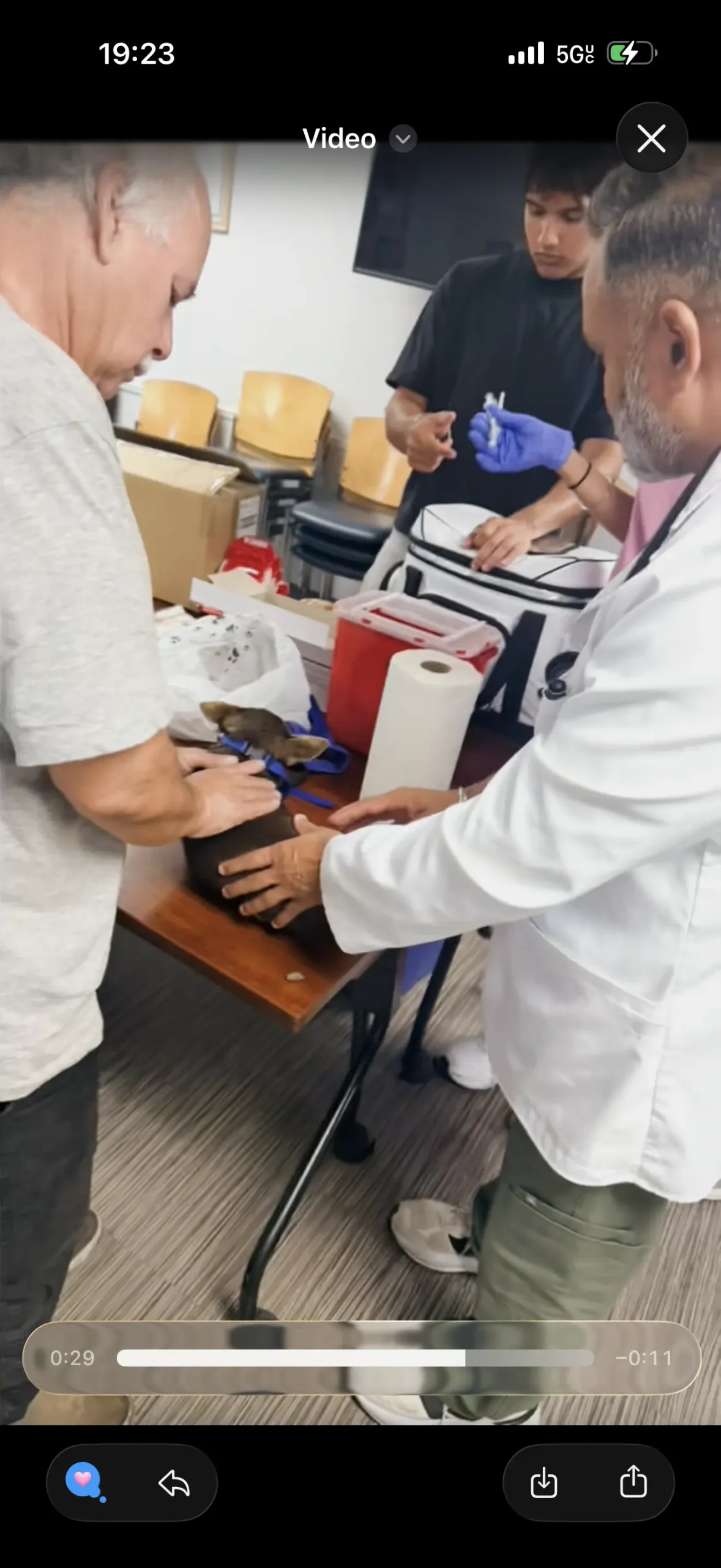 A Community Pet Vaccine Clinic in Stockton: Inside Our Day at Saint Mary's