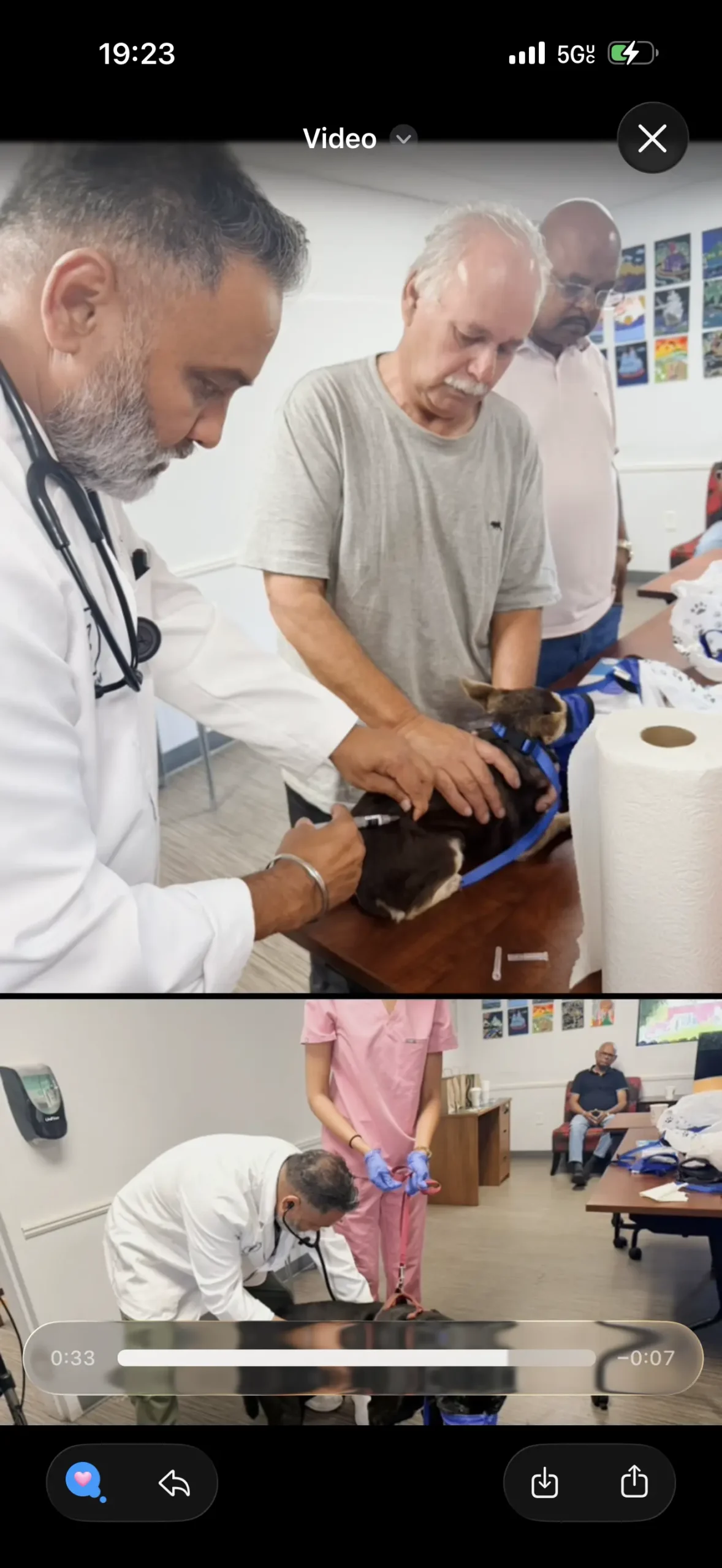 A Community Pet Vaccine Clinic in Stockton: Inside Our Day at Saint Mary's