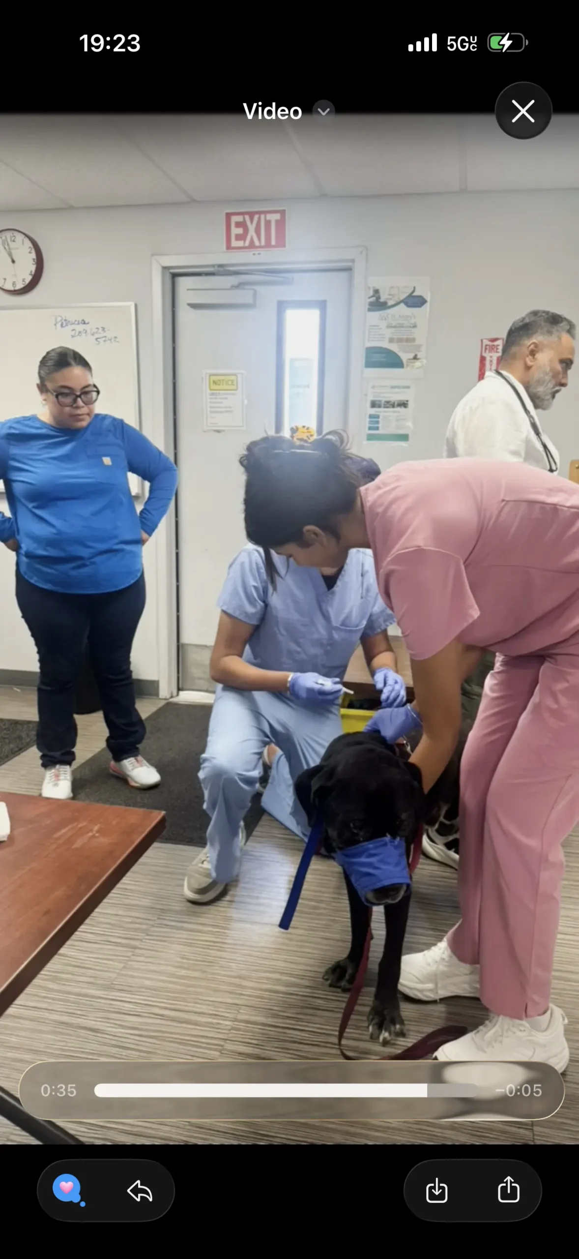 A Community Pet Vaccine Clinic in Stockton: Inside Our Day at Saint Mary's