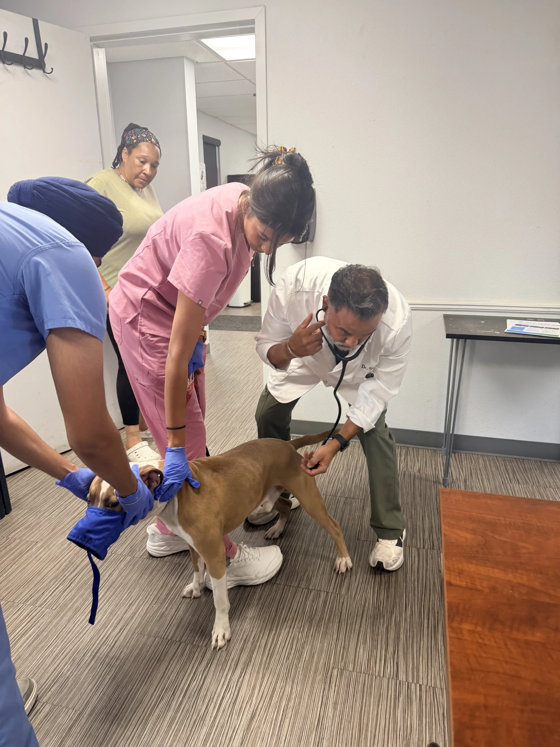 A Community Pet Vaccine Clinic in Stockton: Inside Our Day at Saint Mary's