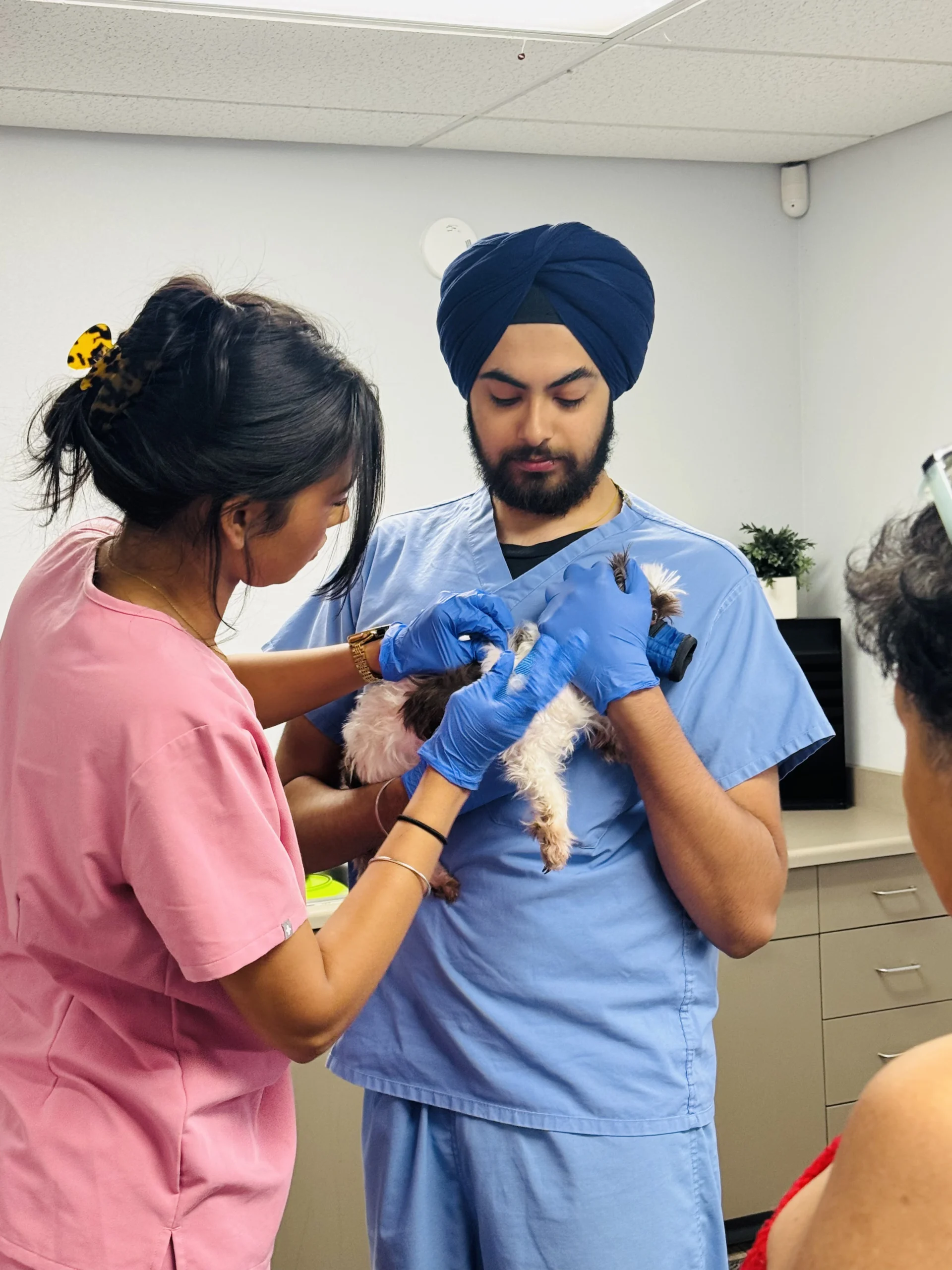 A Community Pet Vaccine Clinic in Stockton: Inside Our Day at Saint Mary's