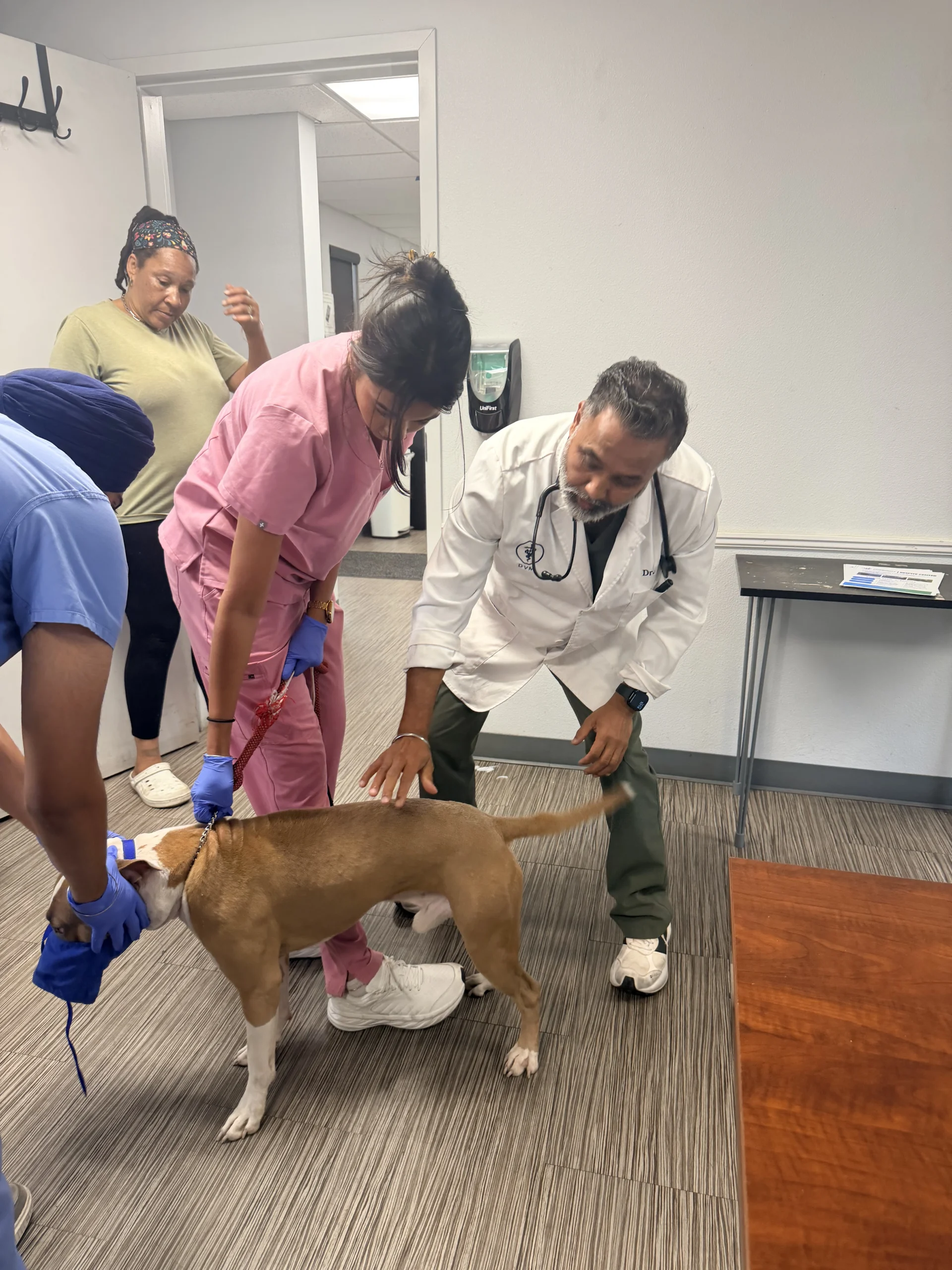 A Community Pet Vaccine Clinic in Stockton: Inside Our Day at Saint Mary's