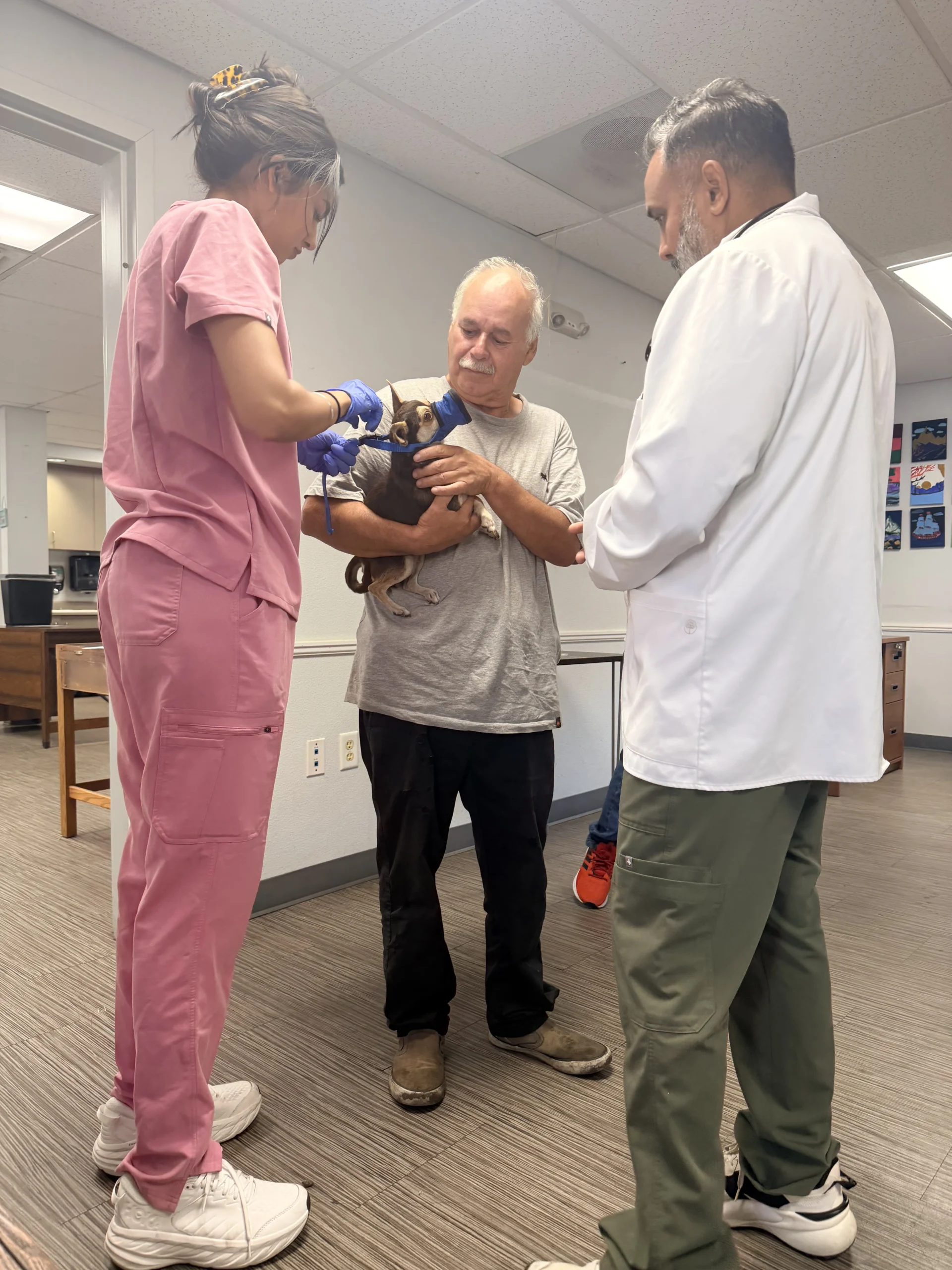 A Community Pet Vaccine Clinic in Stockton: Inside Our Day at Saint Mary's
