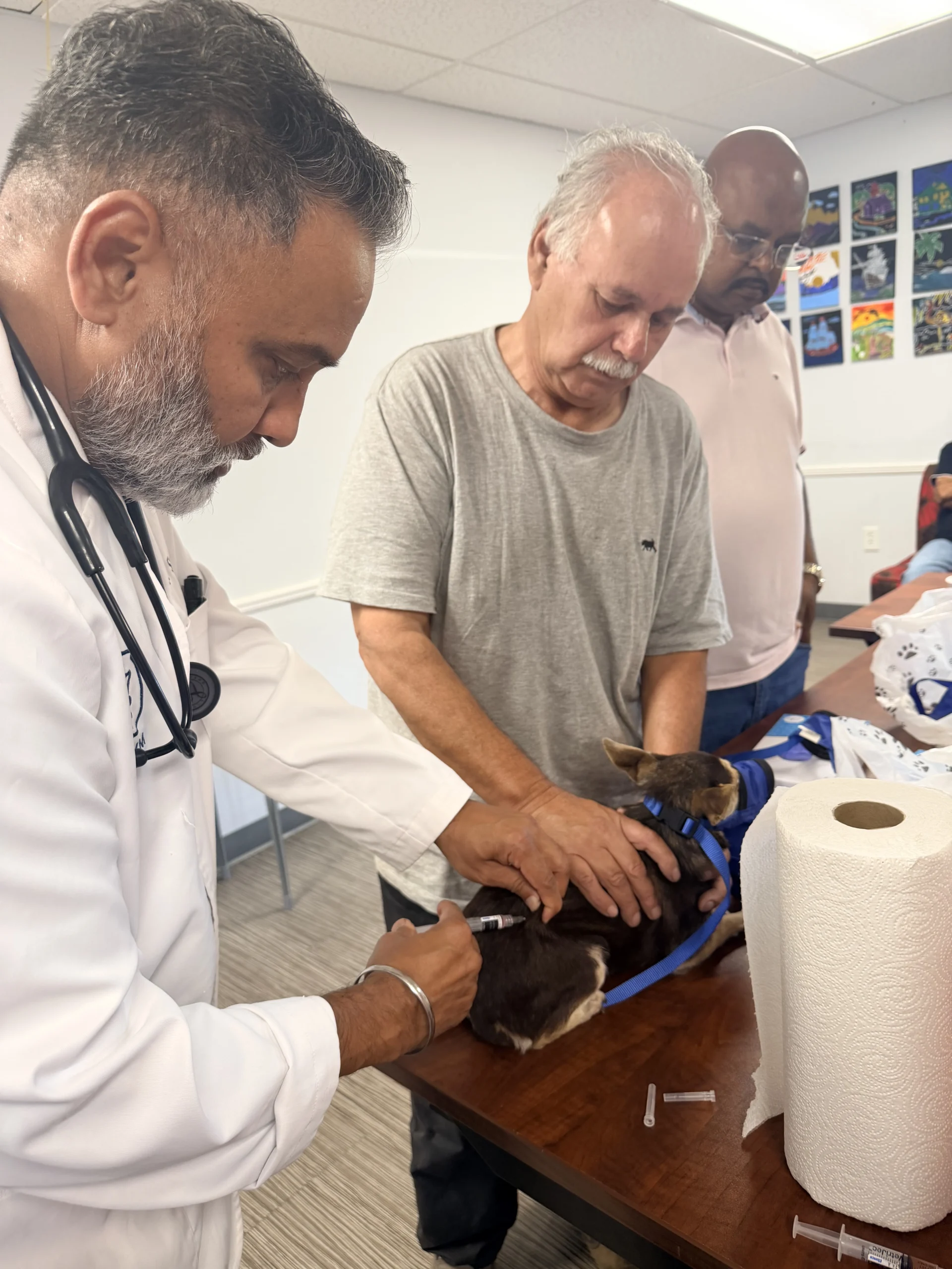 A Community Pet Vaccine Clinic in Stockton: Inside Our Day at Saint Mary's