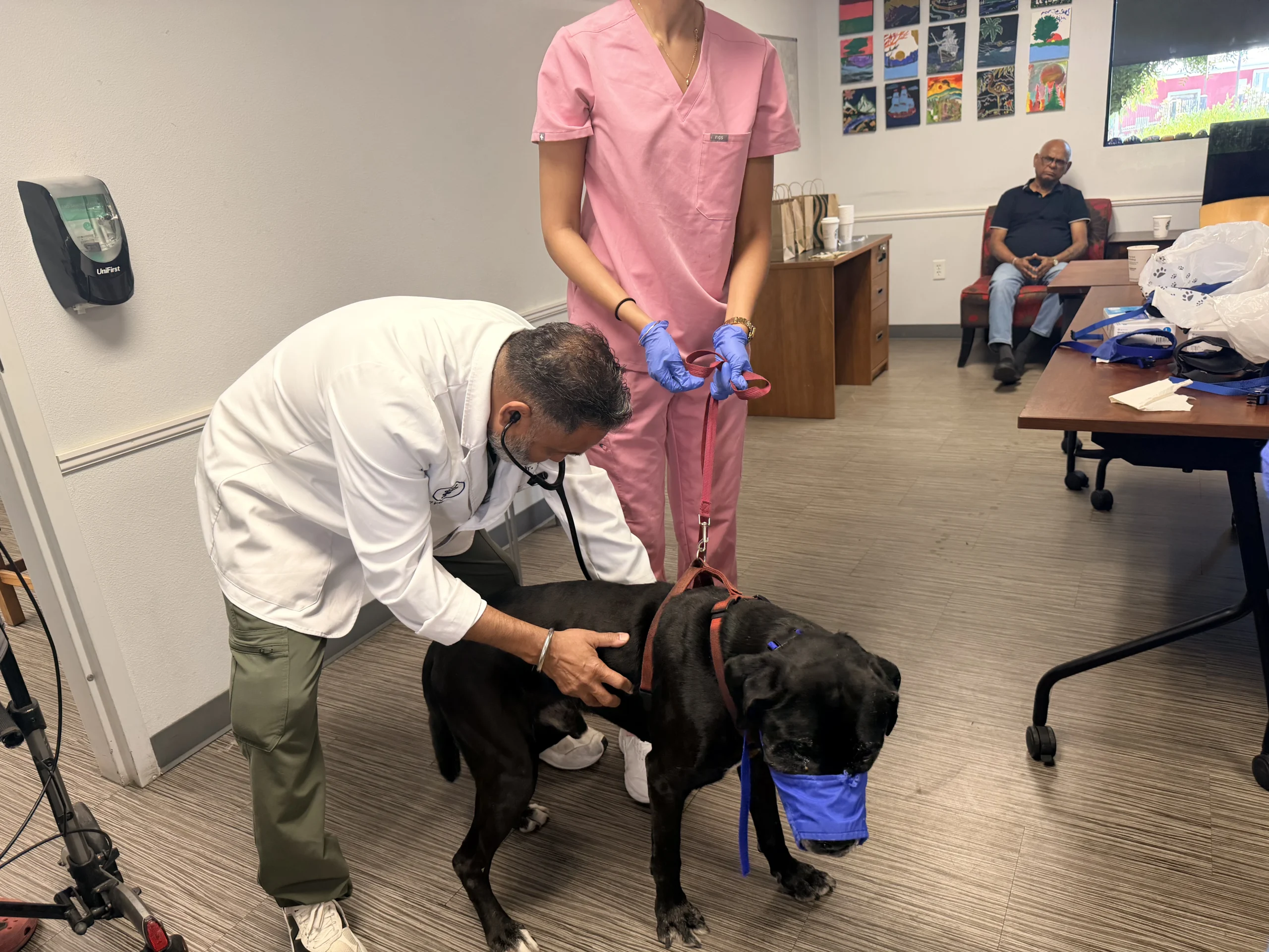 A Community Pet Vaccine Clinic in Stockton: Inside Our Day at Saint Mary's
