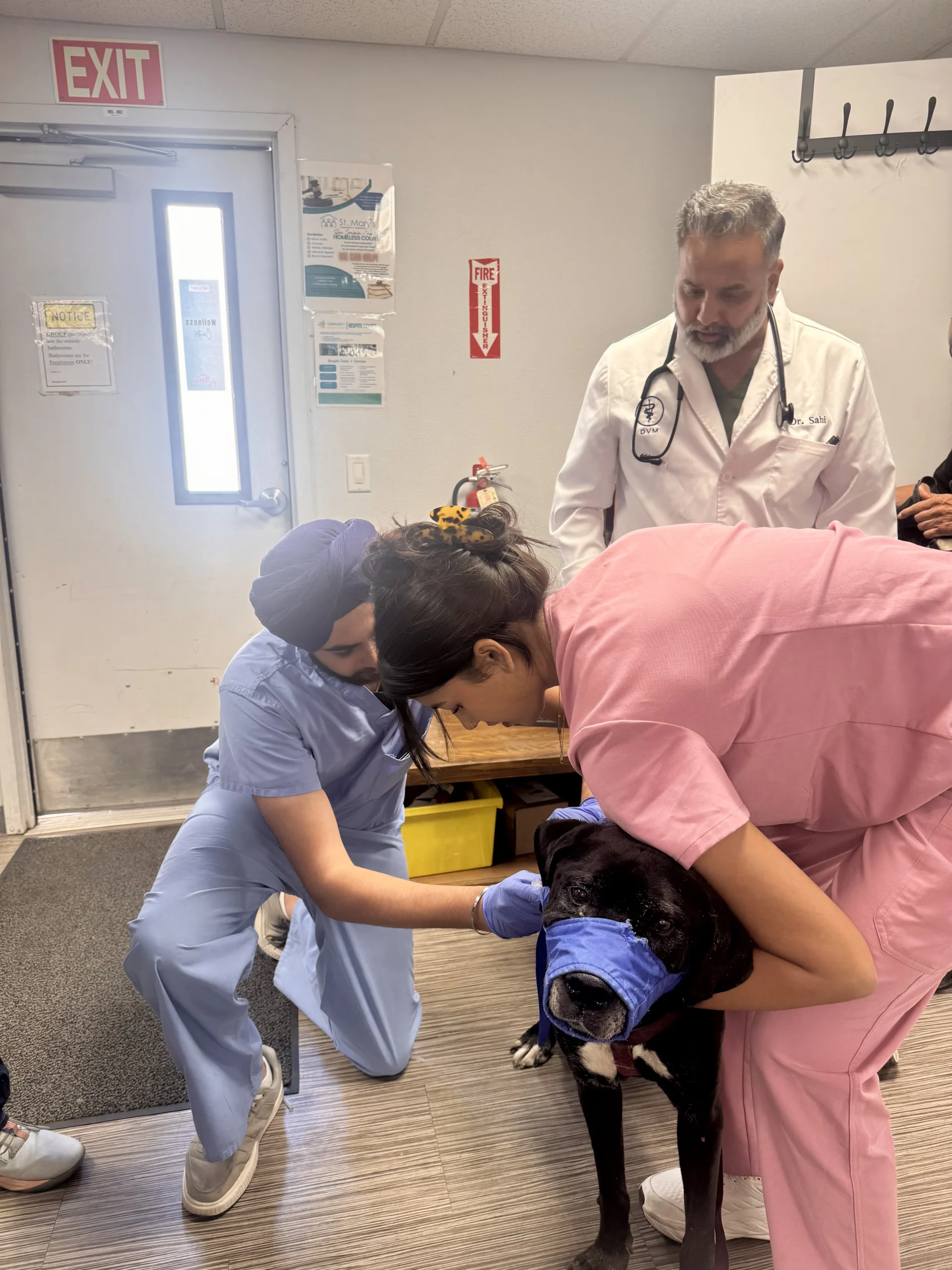 A Community Pet Vaccine Clinic in Stockton: Inside Our Day at Saint Mary's